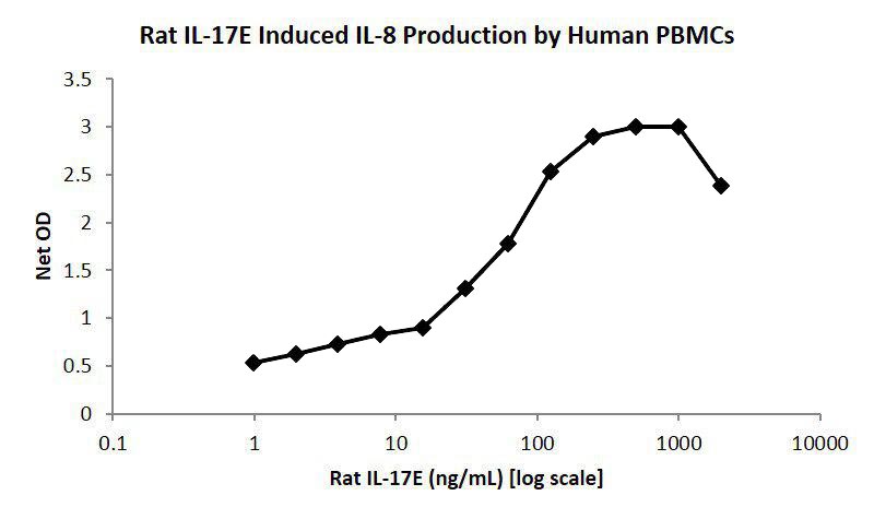 Rat Interleukin-17E