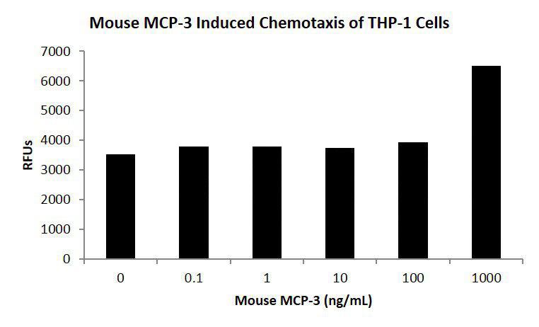 Mouse Monocyte Chemotactic Protein-3 (CCL7)