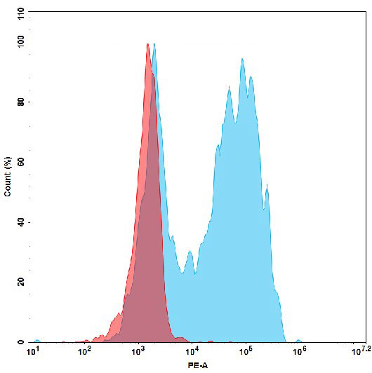 Recombinant PE-conjugated Human GPRC5D Protein, mFc Tag