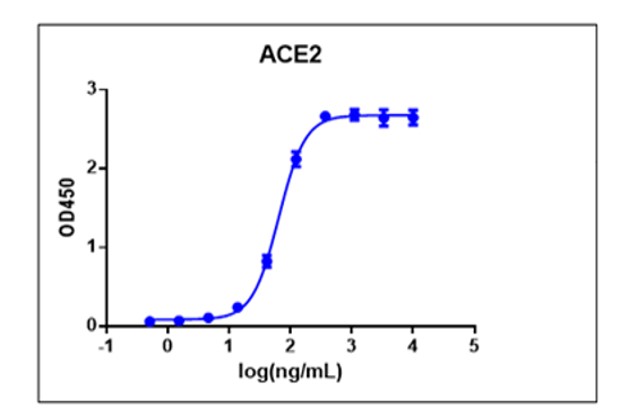 SARS-CoV-2 Spike protein (RBD, C- Term His Tag) (Sf9 cell line)