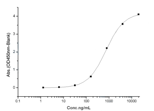 SARS-CoV-2 (2019-nCoV) Spike Protein (S1+S2 ECD, His tag)