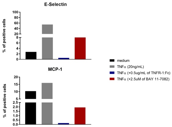 TNF-alpha, Soluble (human) (Recombinant)