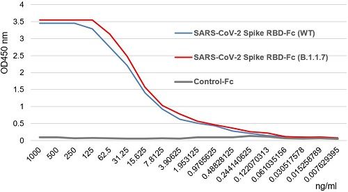 SARS-CoV-2 Spike Protein S1 (RBD):Fc (human) (rec.) (B.1.1.7 Variant, Alpha)