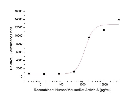 Recombinant Human/Mouse Activin A/INHBA