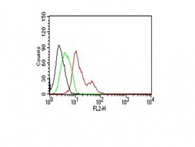 Monoclonal Antibody to Estrogen Receptor, alpha (Marker of Estrogen Dependence)(Clone : ER506)