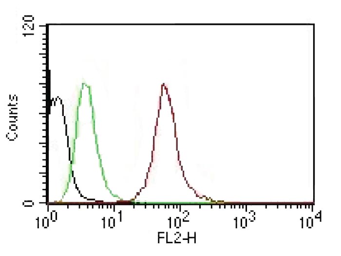 Monoclonal Antibody to Cytokeratin, pan (Epithelial Marker)(Clone : AE-1/AE-3)