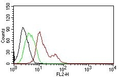 Monoclonal Antibody to Estrogen Receptor, alpha (Marker of Estrogen Dependence)(Clone : ER506), Conjugated with PE-PE