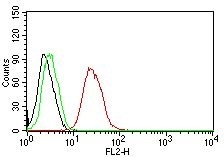 Monoclonal Antibody to ER-beta1 (Estrogen Receptor beta-1)(Clone : ERb455)-PE