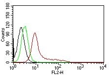 Monoclonal Antibody to Ku (p70/p80) (Nuclear Marker)(Clone : KU729)