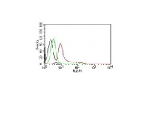 Monoclonal Antibody to Ku (p70/p80) (Nuclear Marker)(Clone : KU729)-PE