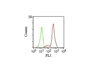 Monoclonal Antibody to CD11c (Dendritic Cell Marker)(Clone : HC1/1)