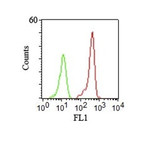 Monoclonal Antibody to CD46 (Membrane Cofactor Protein)(Clone : 122.2)