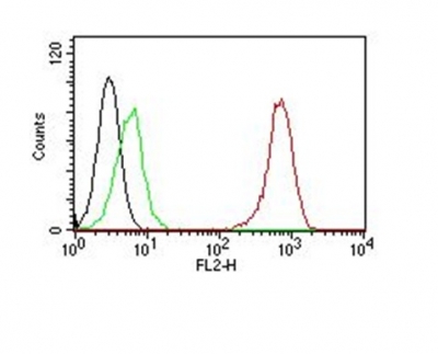 Monoclonal Antibody to CD31 / PECAM-1 (Endothelial Cell Marker)(Clone : SPM122)-PE