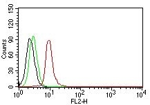 Monoclonal Antibody to Cyclin D1 (G1-Cyclin & Mantle Cell Marker)(Clone : DCS-6)-PE