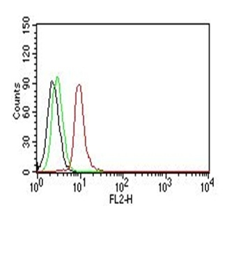 Monoclonal Antibody to Cyclin D1 (G1-Cyclin & Mantle Cell Marker)(Clone : SPM587)-PE