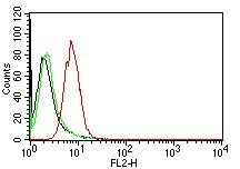 Monoclonal Antibody to Cyclin D1 (G1-Cyclin & Mantle Cell Marker)(Clone : CCND1/809)-PE