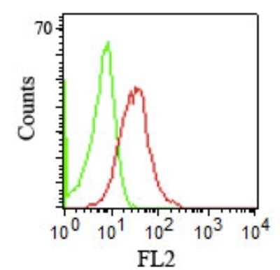 Monoclonal Antibody to CD1b (T-Cell Surface Glycoprotein)(Clone : RIV12)