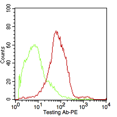 Monoclonal Antibody to CD37 (Peripheral Mature B-Cell Marker)(Clone : IPO-24)