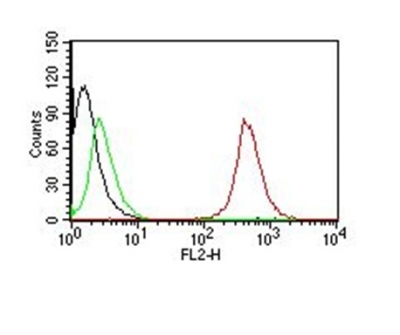 Monoclonal Antibody to CD63 (Late Endosomes Marker)(Clone : NKI/C3)-PE