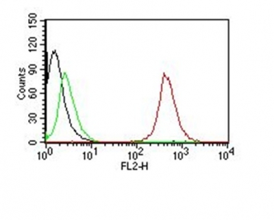 Monoclonal Antibody to CD63 (Late Endosomes Marker)(Clone : SPM524)-PE