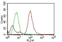 Monoclonal Antibody to CD63 (Late Endosomes Marker)(Clone : MX-49.129.5)-PE