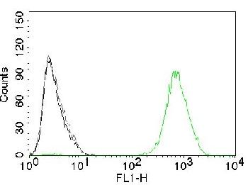 Anti-EGFR (Epidermal Growth Factor Receptor) Monoclonal Antibody(Clone: GFR450)-CF488