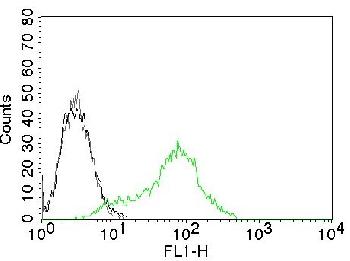 Anti-Ku (p70/p80) (Nuclear Marker) Monoclonal Antibody(Clone: KU729)-CF488