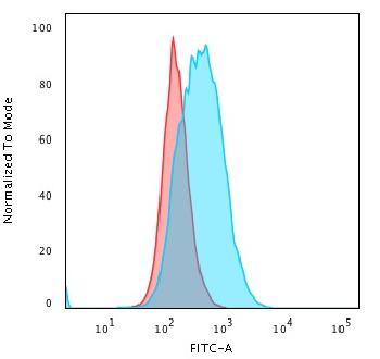 Anti-HLA-DP (MHC II) Monoclonal Antibody(Clone: SPM421)