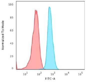 Anti-Cytokeratin 15 (Esophageal Squamous Cell Carcinoma Marker) Monoclonal Antibody(Clone: KRT15/2958)