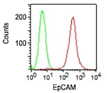 Anti-Ep-CAM / CD326 (Extracellular Domain) (Epithelial Marker) Monoclonal Antibody(Clone: VU-1D9)-CF488