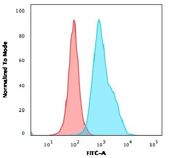 Anti-CD10 (Membrane Metalloendopeptidase) Monoclonal Antibody(Clone: CB-CALLA)