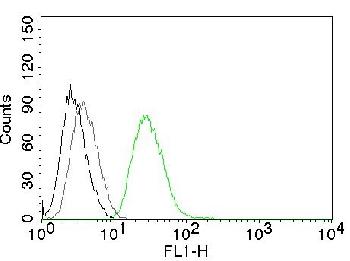 Anti-Ornithine Decarboxylase-1 (ODC-1) Monoclonal Antibody(Clone: ODC1/485)-CF488