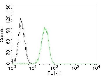 Anti-CD31 / PECAM-1 (Endothelial Cell Marker) Monoclonal Antibody(Clone: C31.7)-CF488