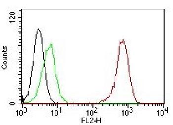 Anti-CD31 / PECAM-1 (Endothelial Cell Marker) Monoclonal Antibody(Clone: C31.7)-PE