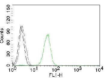 Anti-CD31 / PECAM-1 (Endothelial Cell Marker) Monoclonal Antibody(Clone: JC/70A)-CF488