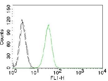 Anti-CD31 / PECAM-1 (Endothelial Cell Marker) Monoclonal Antibody(Clone: C31.10)-CF488