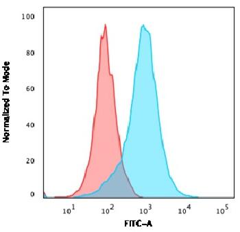 Anti-CD31 / PECAM-1 (Endothelial Cell Marker) Monoclonal Antibody(Clone: 158-2B3)