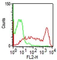 Monoclonal Antibody to CD45RO (Clone: C45.1)