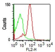 Monoclonal Antibody to CD43 (Clone: DF-T1)