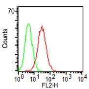 Monoclonal Antibody to CD34 (Clone: ICO-115)