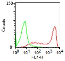 Monoclonal Antibody to CD45RA (Clone: 158-4D3)