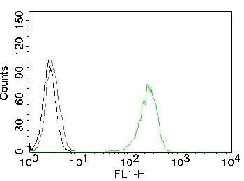 Anti-CD71 / Transferrin Receptor (TFRC) Monoclonal Antibody(Clone: 66IG10)-CF488