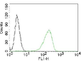 Anti-CD71 / Transferrin Receptor (TFRC) Monoclonal Antibody(Clone: TFRC/1059)-CF488