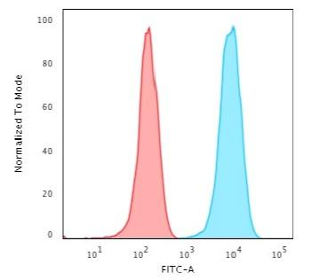 Anti-CD3e (T-Cell Marker) Monoclonal Antibody(Clone: B-B12)