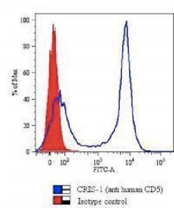 Anti-CD5 (Mantle Cell Lymphoma Marker) Monoclonal Antibody(Clone: CRIS-1)