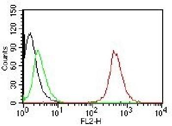 Anti-CD63 (Late Endosomes Marker) Monoclonal Antibody(Clone: NKI/C3)-CF488