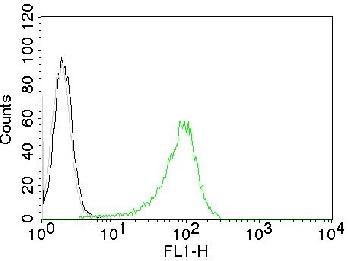 Anti-Human Nuclear Antigen (HNA) (Human Cell Marker) Monoclonal Antibody(Clone: 235-1)-CF488