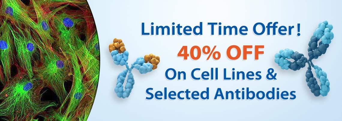 40 Percent Discount on Selected Antibodies and Cell lines