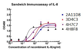 Mouse Monoclonal Antibody to IL-8 (Clone : 3B1A8)(Discontinued)