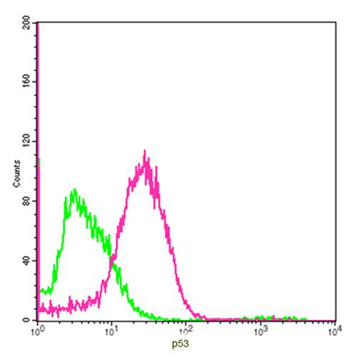 Mouse Monoclonal Antibody to p53 (Clone : 5H7B9)(Discontinued)